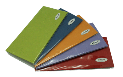 E9 Envelope